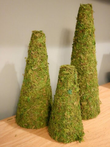 DIY moss Christmas trees