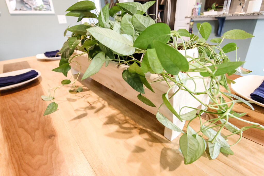 DIY planter centerpiece filled with plants