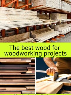 The best wood for woodworking projects