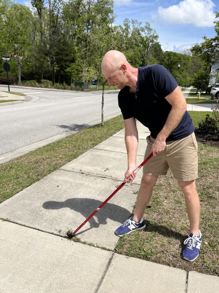 Using Zenith Crack and Crevice Cleaner to remove weeds