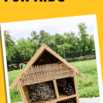 How to build a bug hotel for kids - Charleston Crafted