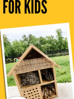 How to build a bug hotel for kids - Charleston Crafted