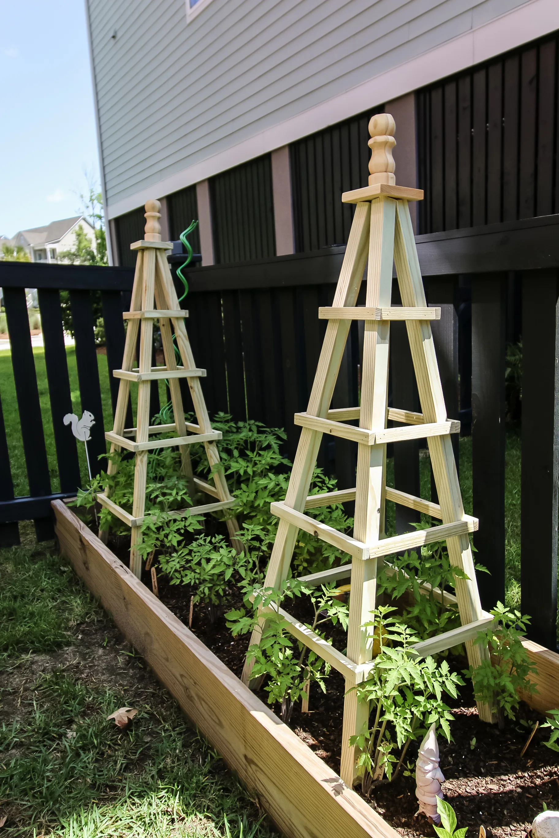 Garden veggie trellises in raised bed garden