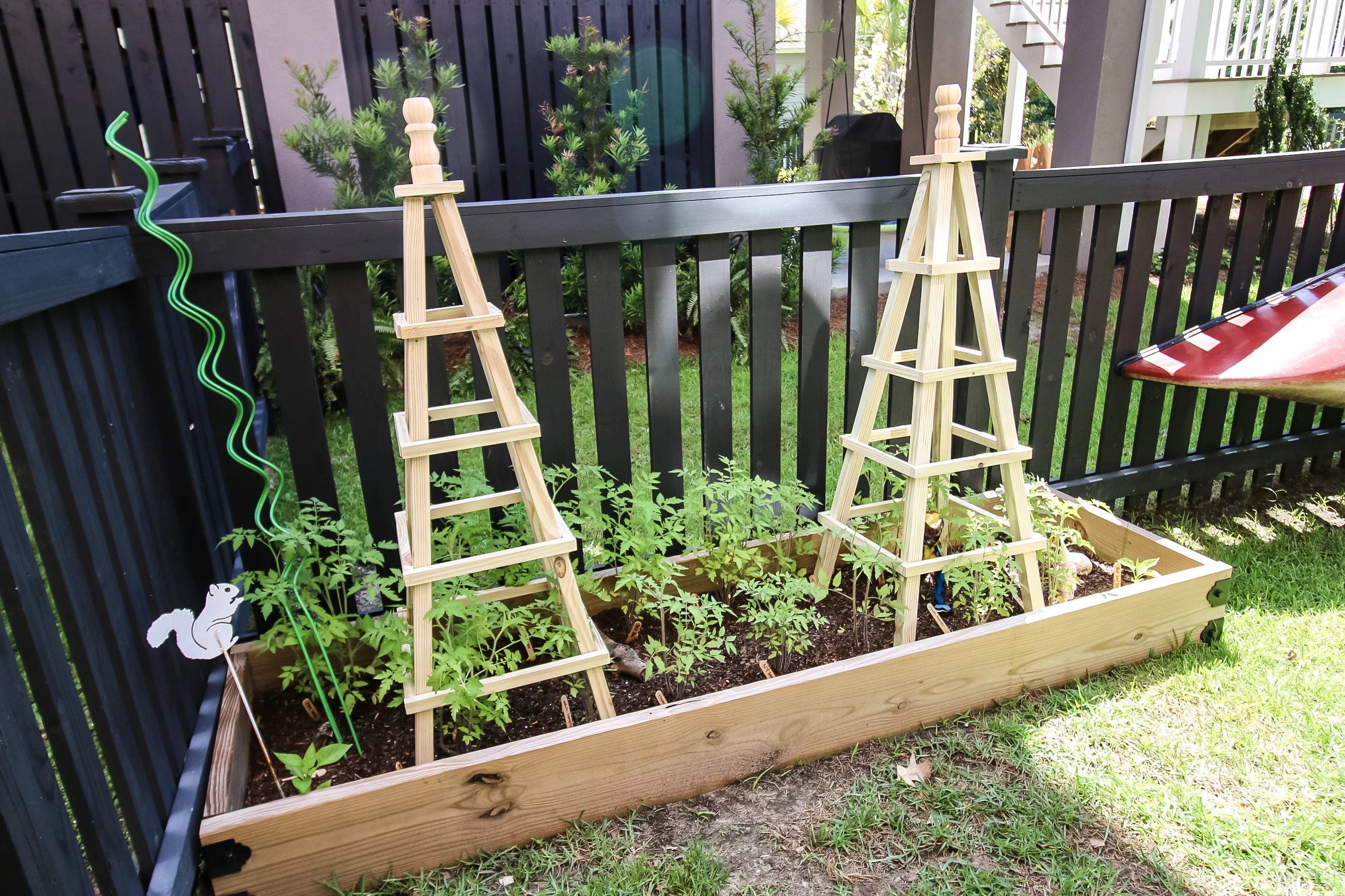 DIY tomato cages in raised bed