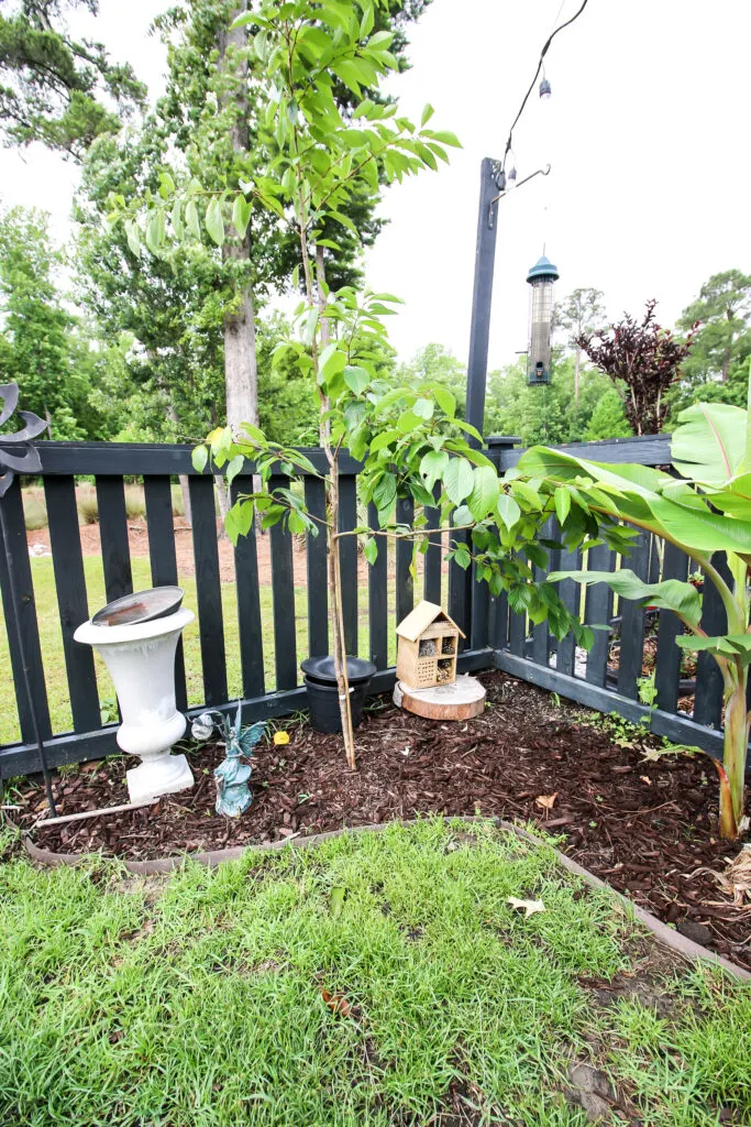 Bug hotel in back corner of yard