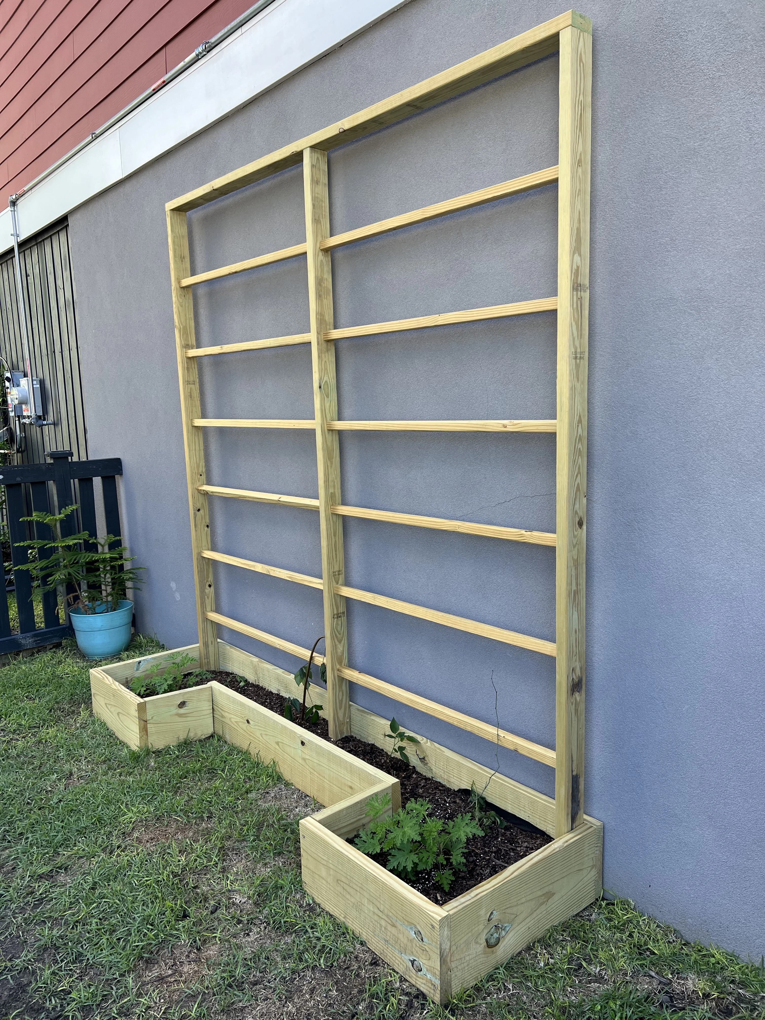 Garden bed with trellis and plants