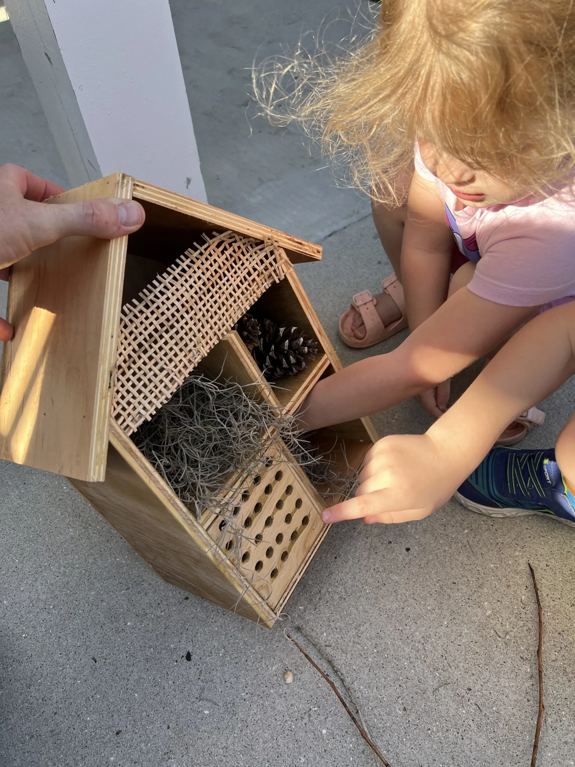 Filling bug hotel with natural materials