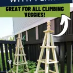How to build a DIY wooden tomato cage - Charleston Crafted