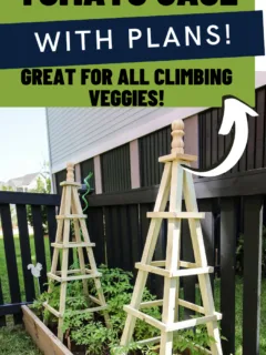 How to build a DIY wooden tomato cage - Charleston Crafted