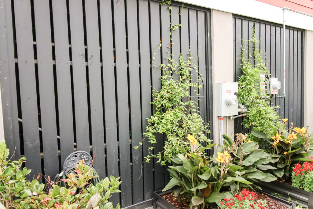 Open garage with vines growing in