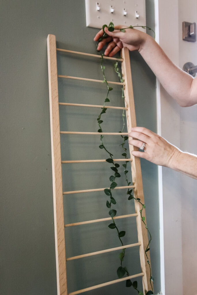 Plant trellis for climbing houseplants