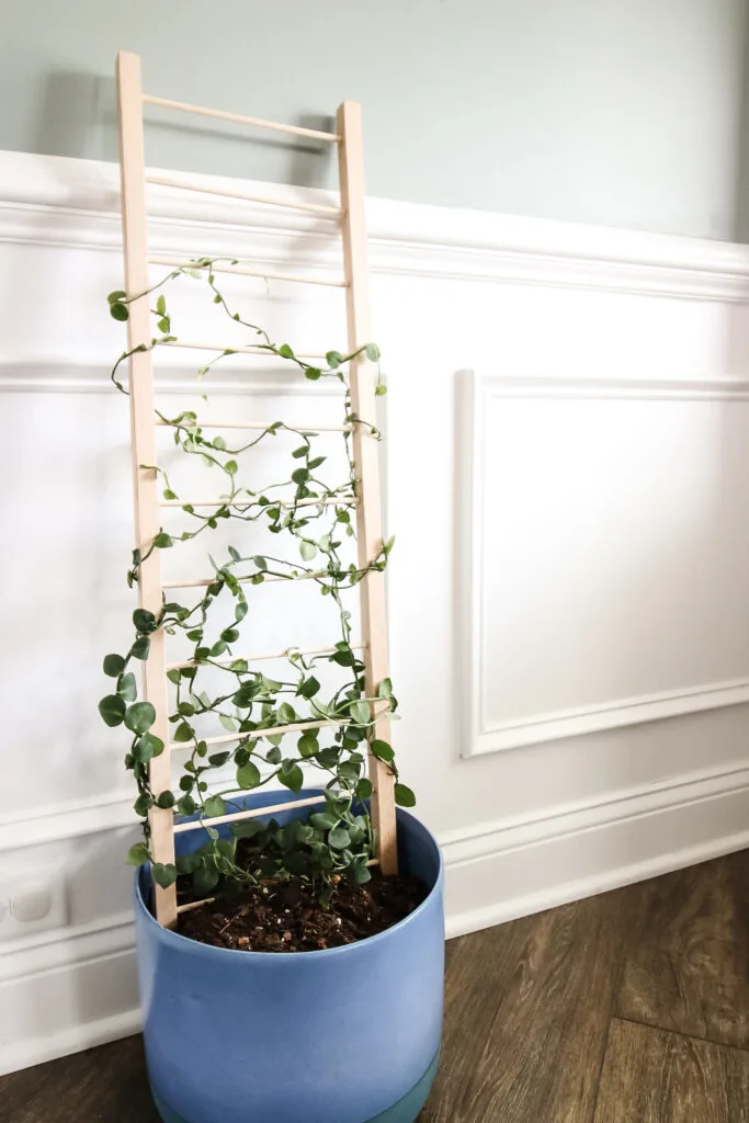 Potted plant trellis ladder
