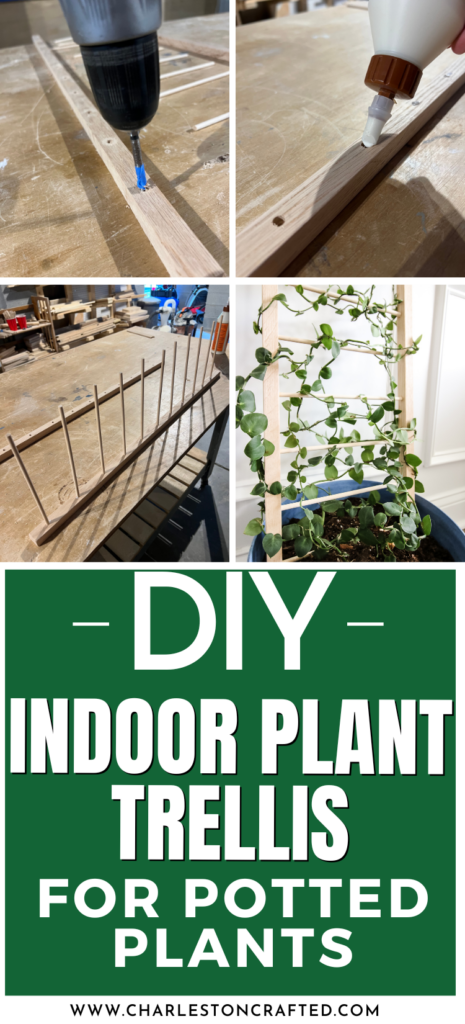 DIY indoor plant trellis for pots - Charleston Crafted