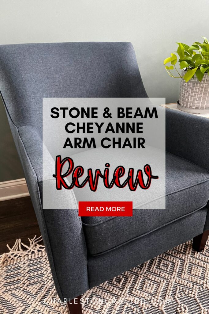 Stone & Beam Cheyanne Arm Chair Review