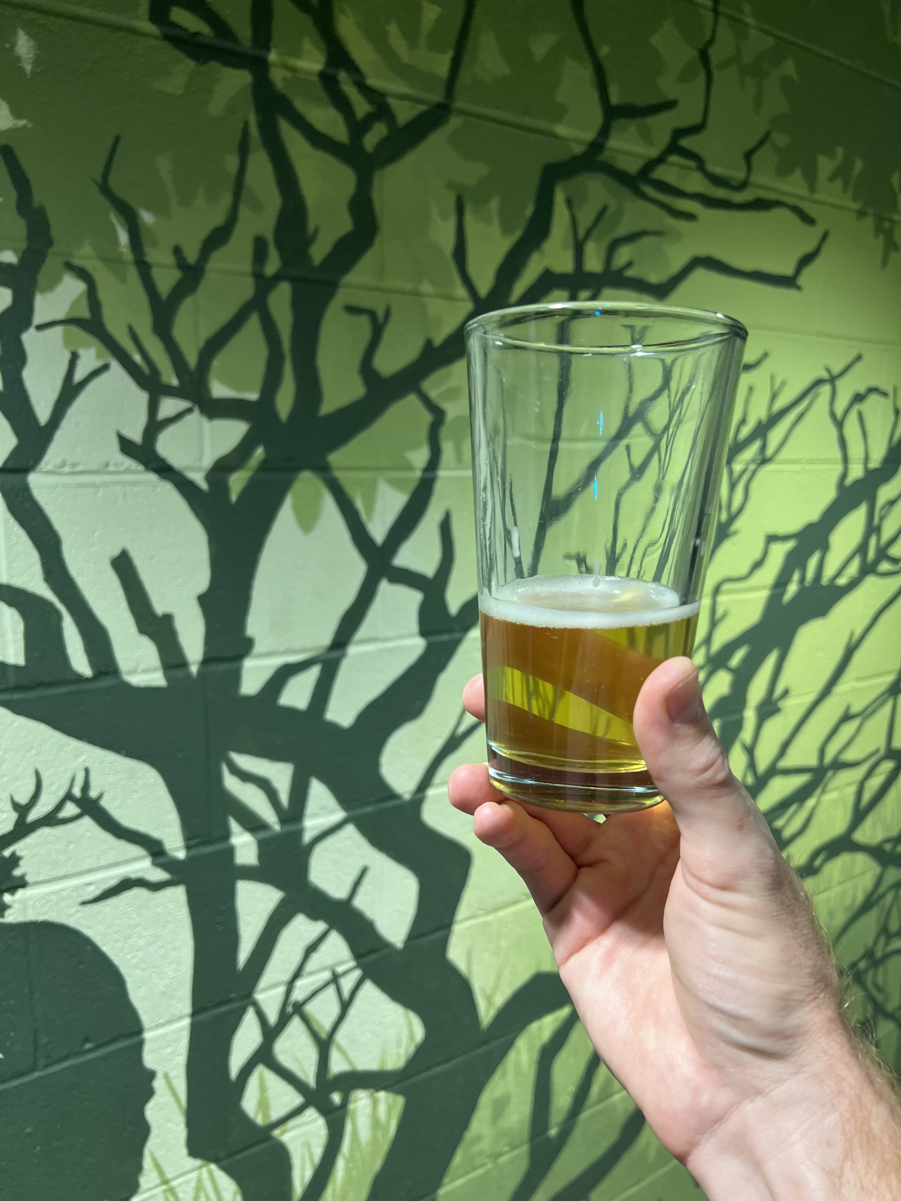 Best brewery hopping route in Asheville NC - Charleston Crafted