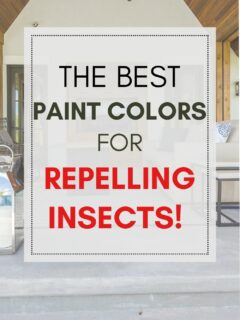 Paint Colors that repel insects