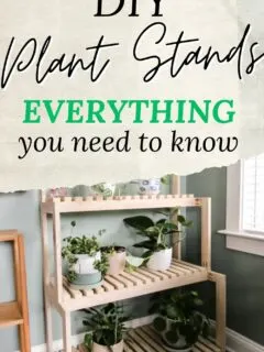 diy plant stands