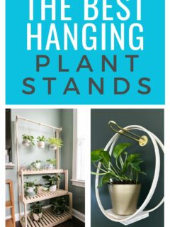 the best hanging plant stands