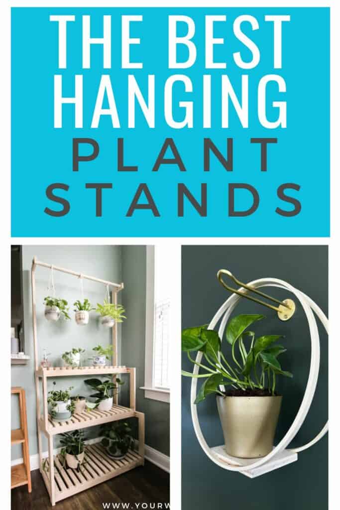 the best hanging plant stands