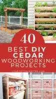 40 Best Cedar Woodworking Project Ideas