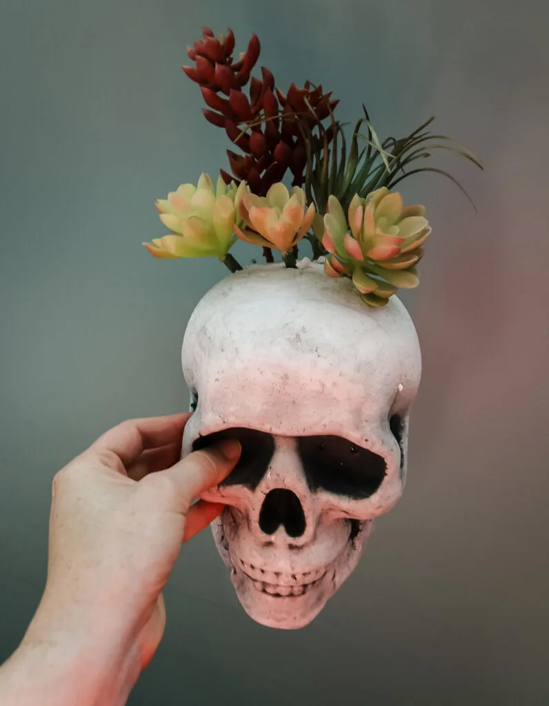 making a faux succulent skull for halloween
