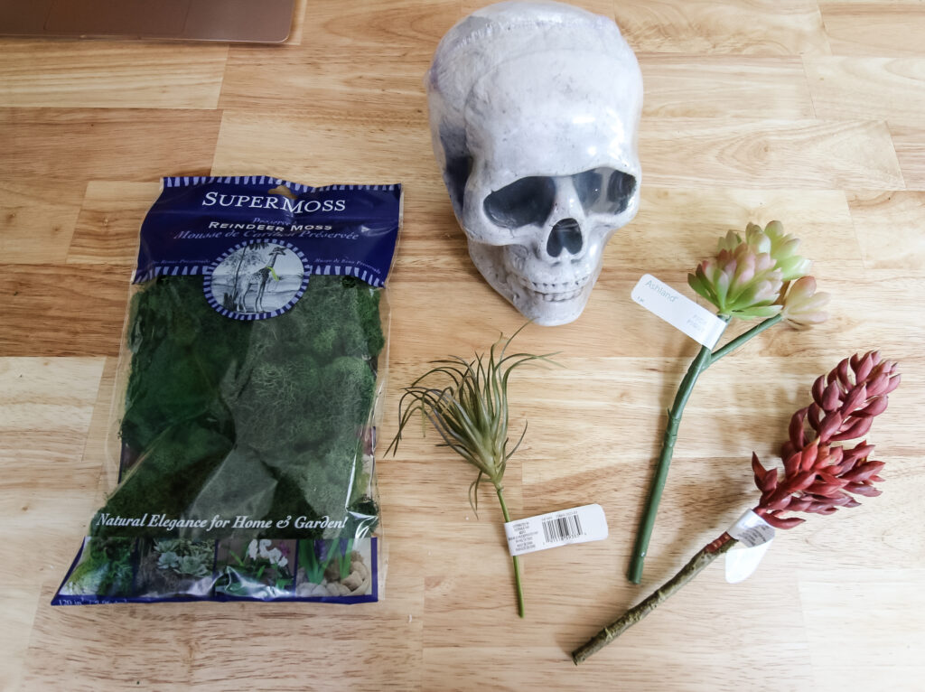 making a faux succulent skull for halloween