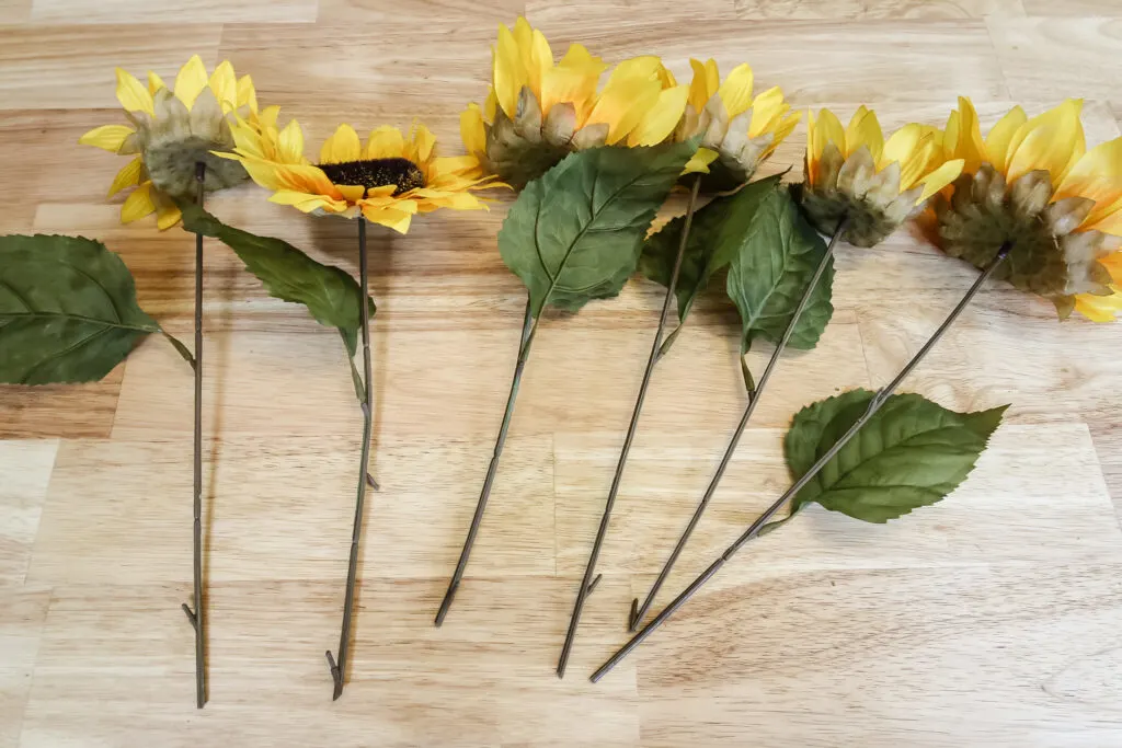 making skull sunflowers