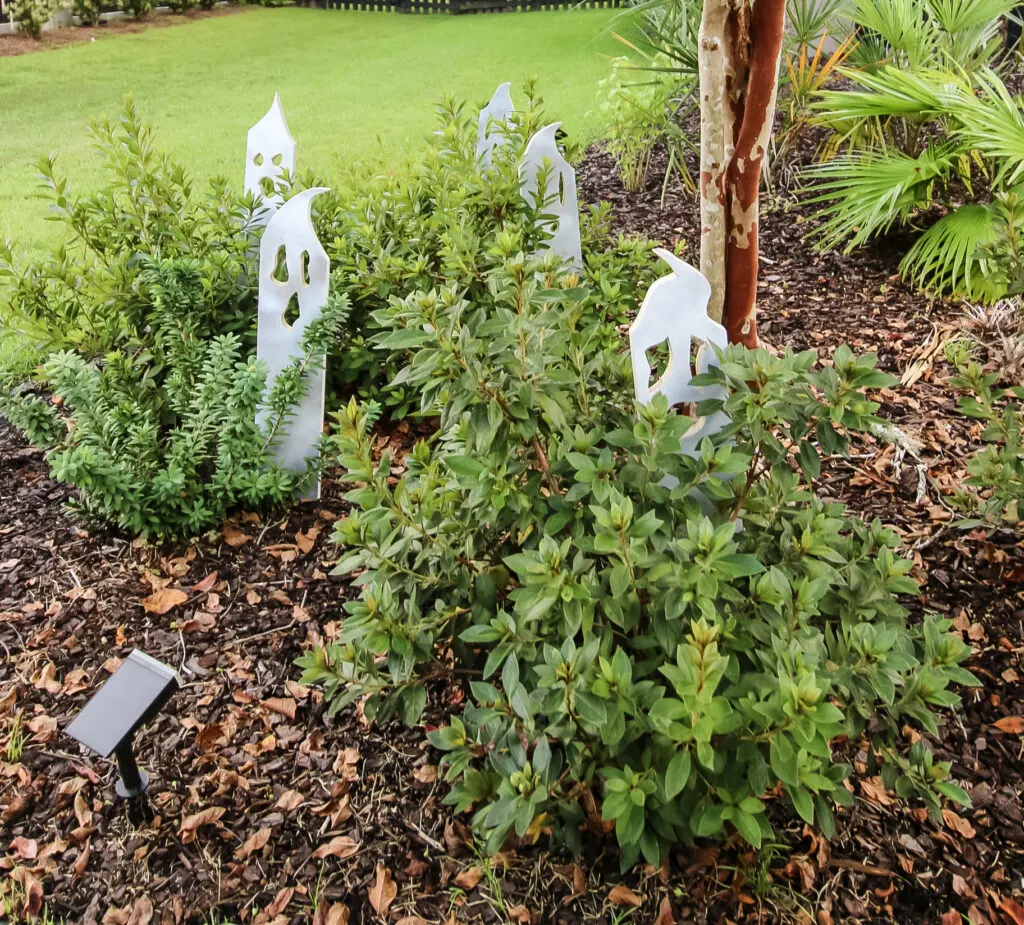 Wooden ghosts in bushes