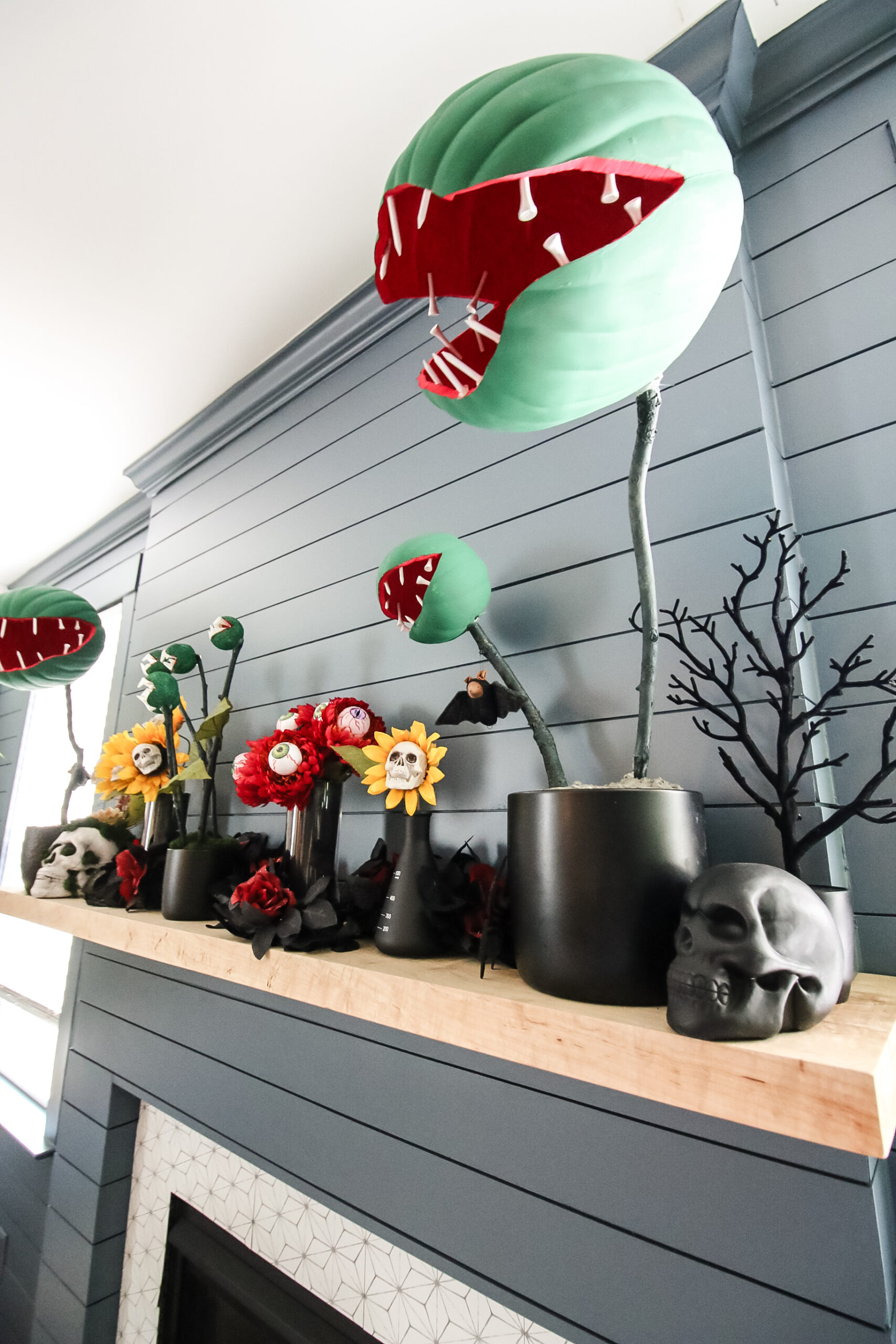 Our 2024 Halloween Decor