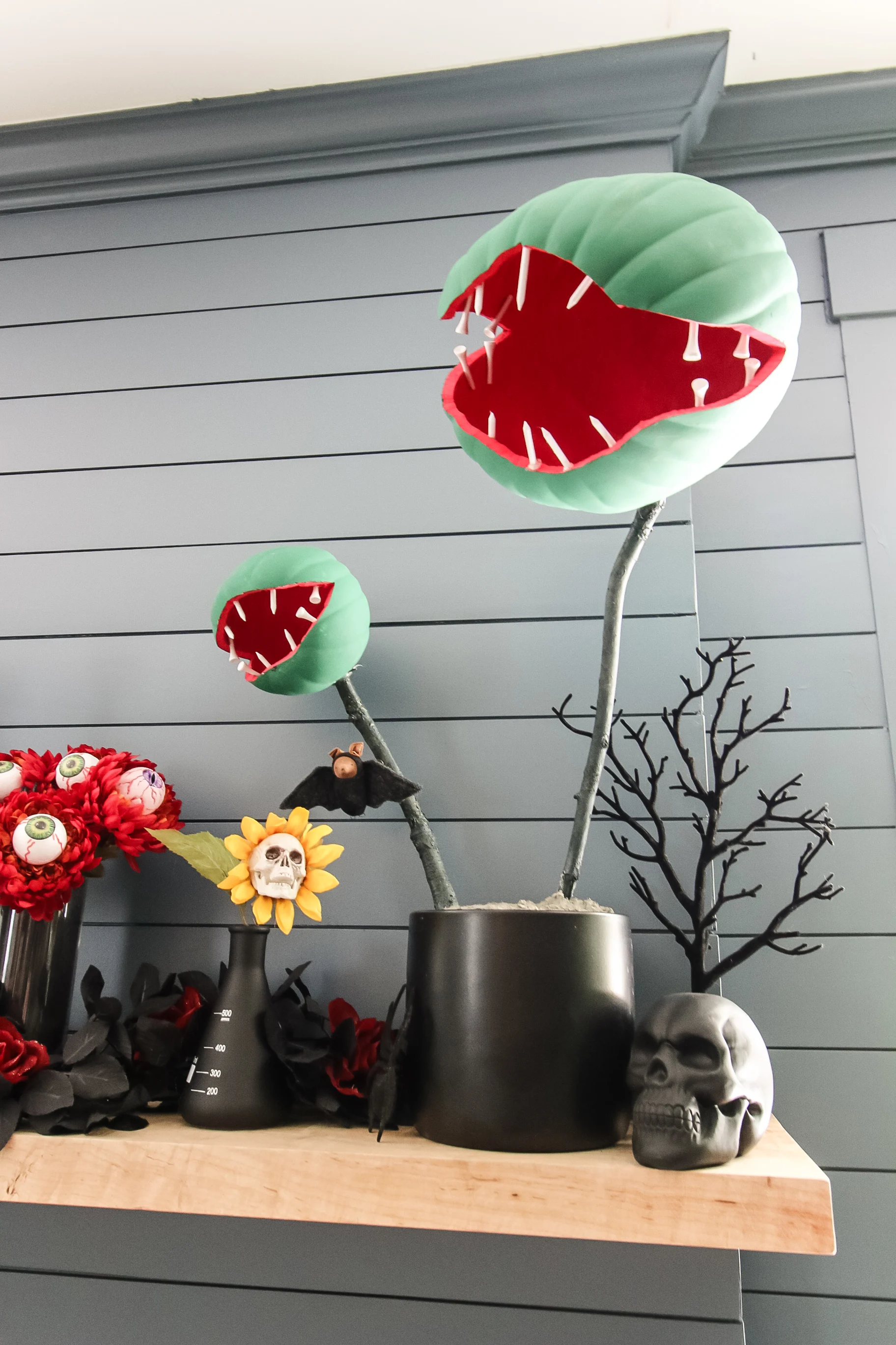 faux carniverous plant pumpkin