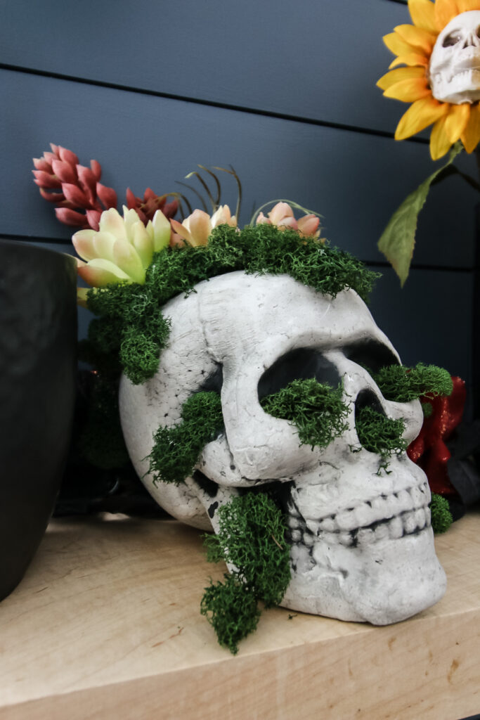 close up of moss skull