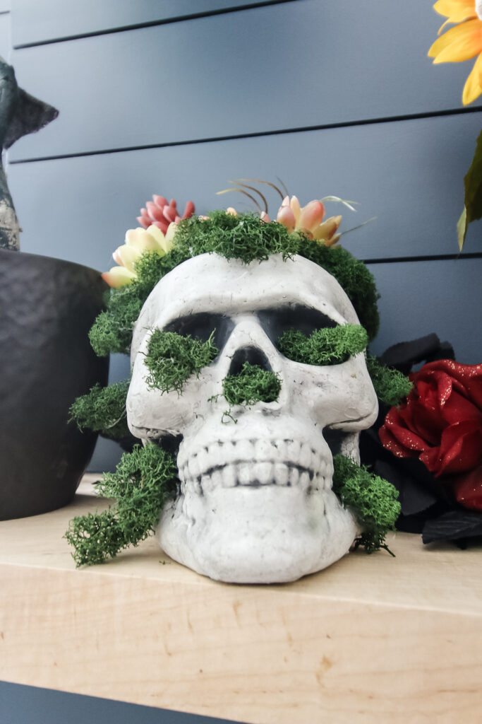 close up of moss skull