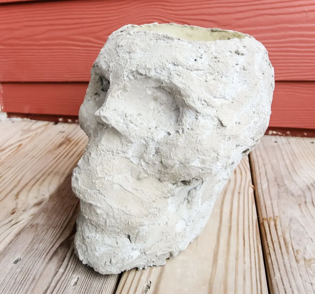 Skull concrete planter after drying