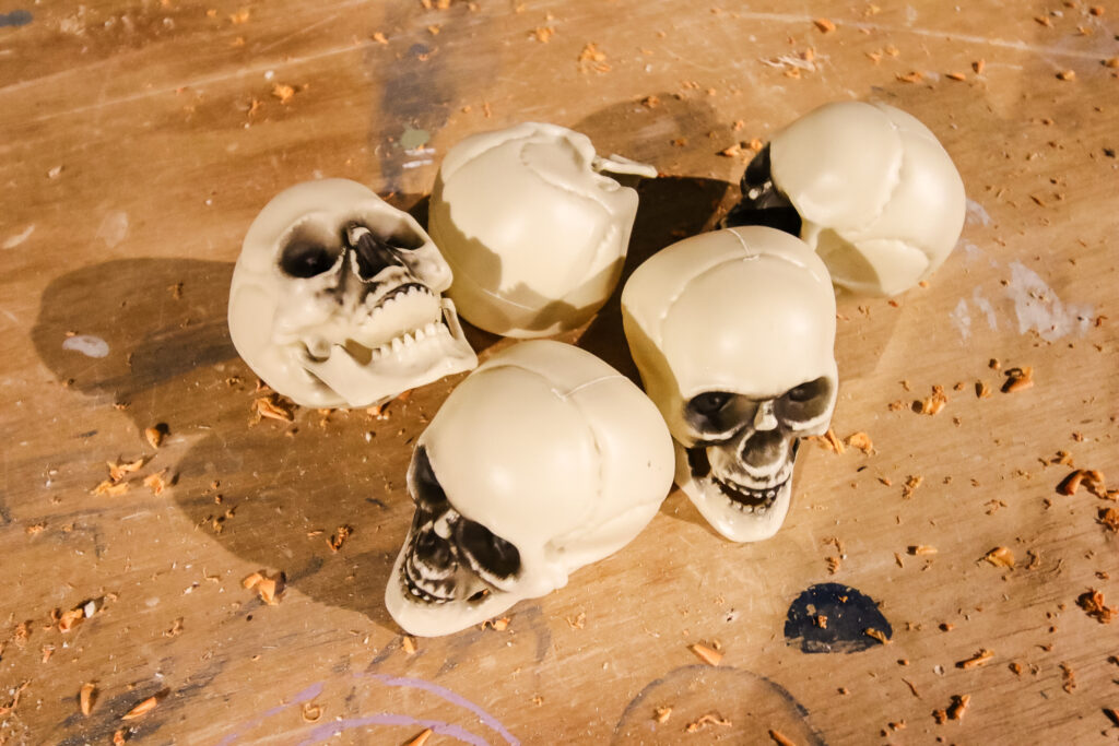 plastic skulls