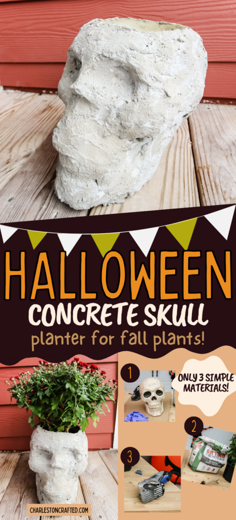 DIY concrete skull planter - Charleston Crafted
