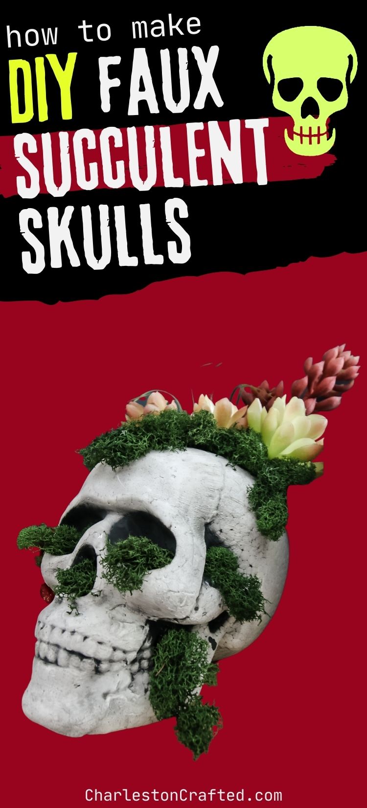 DIY faux succulent skulls