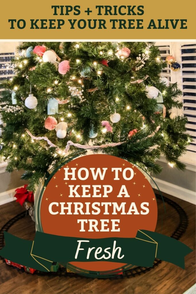 how to keep a christmas tree fresh