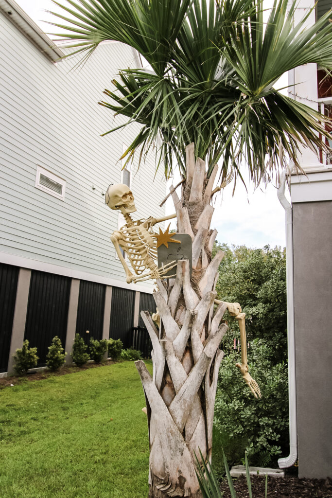 skeleton climbing a tree