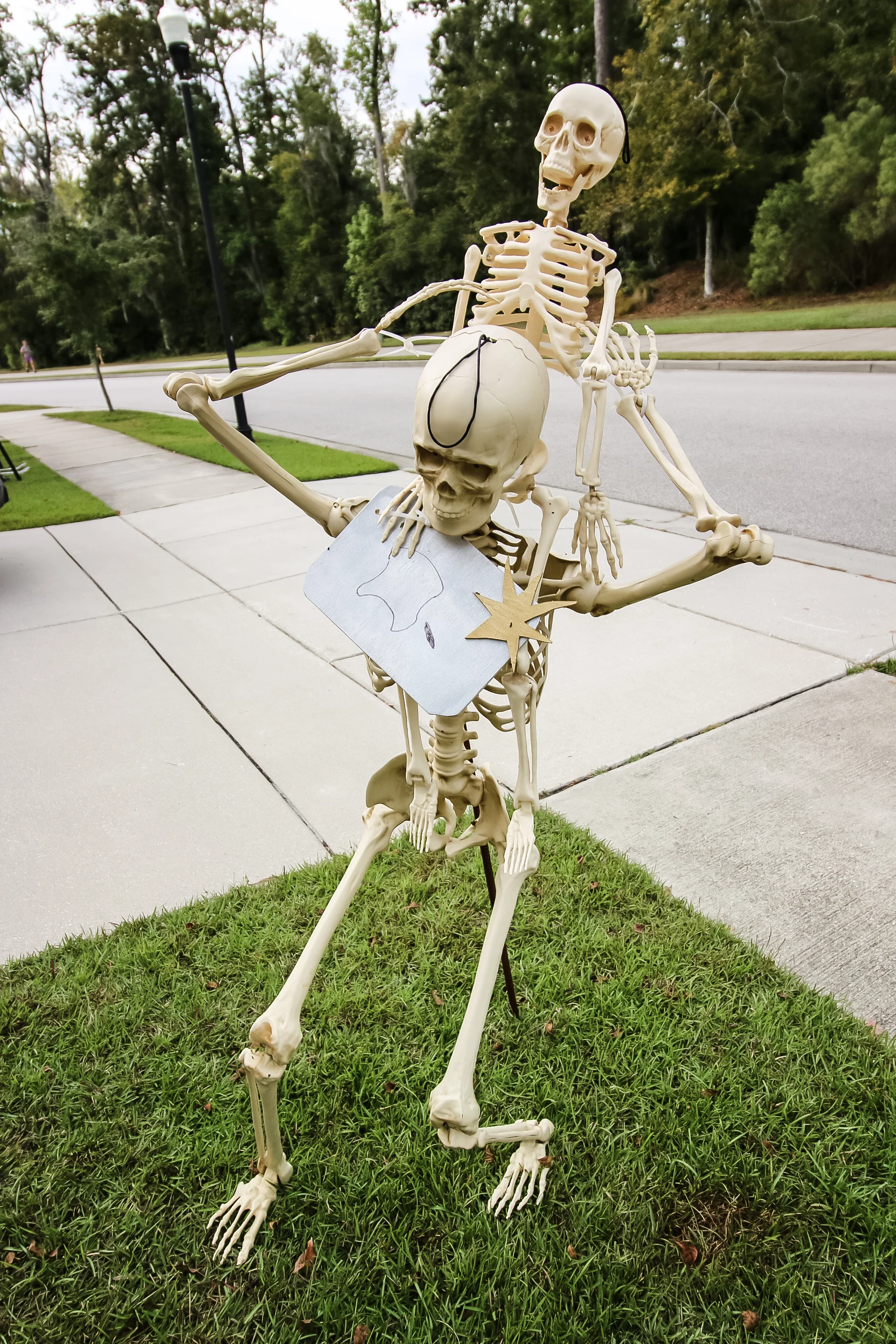posed skeleton with baby skeleton on his shoulders