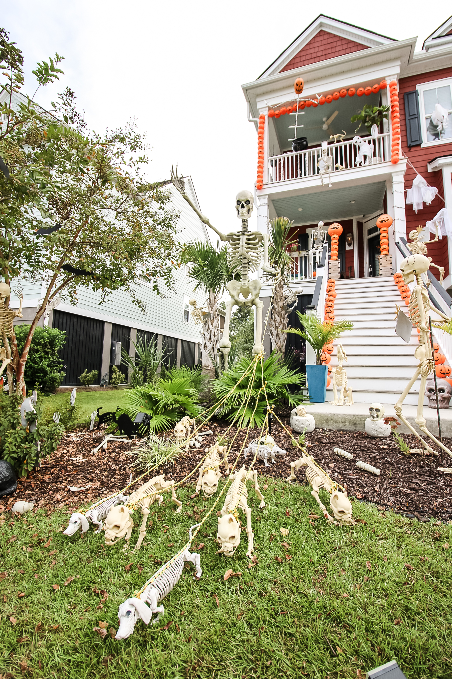 front yard halloween decor with giant skeleton and tons of pumpkins