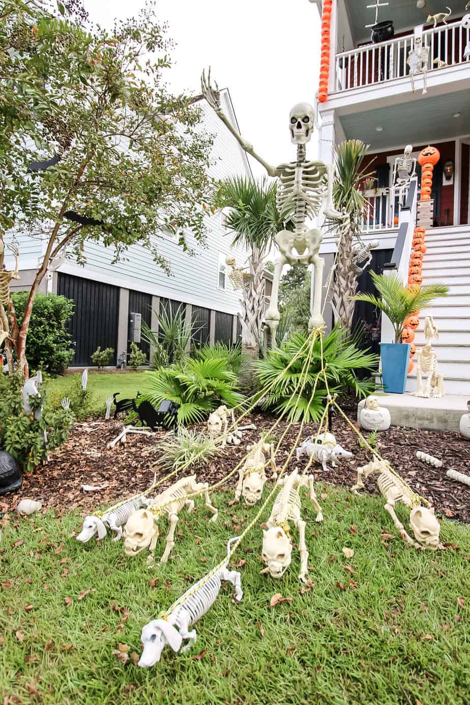 giant skeleton walking skeleton dogs