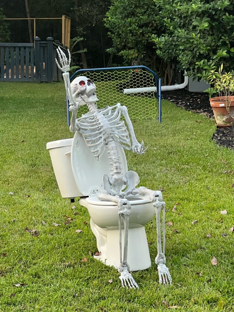 skeleton on a toilet