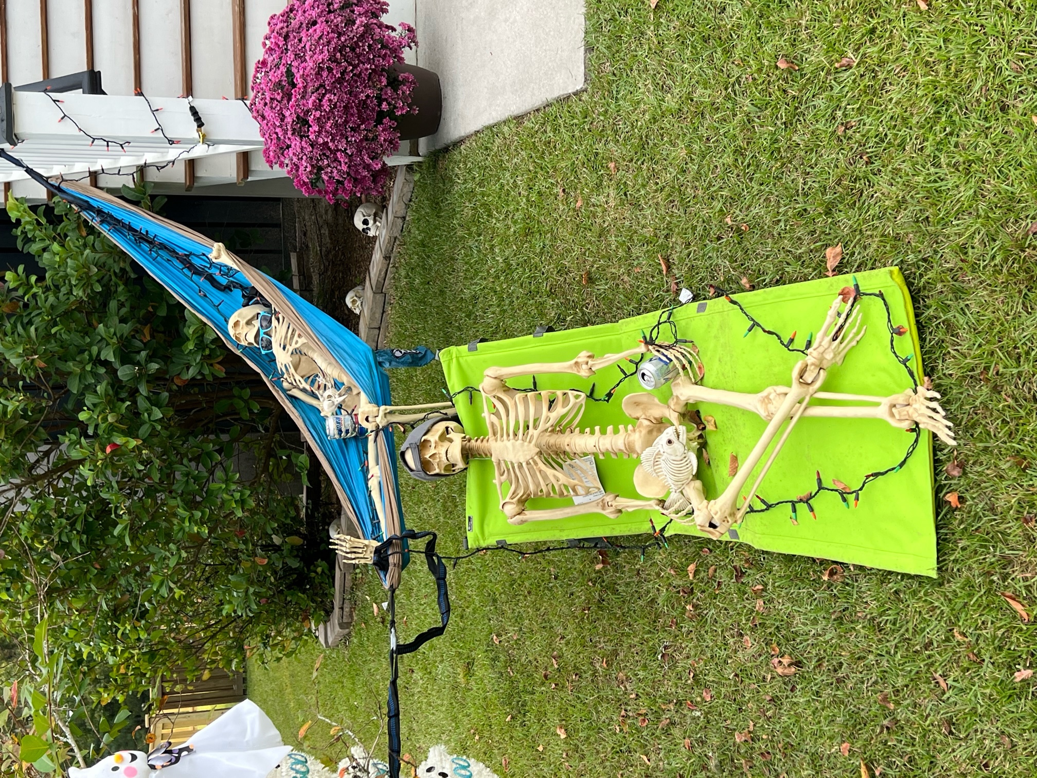 skeleton in a hammock