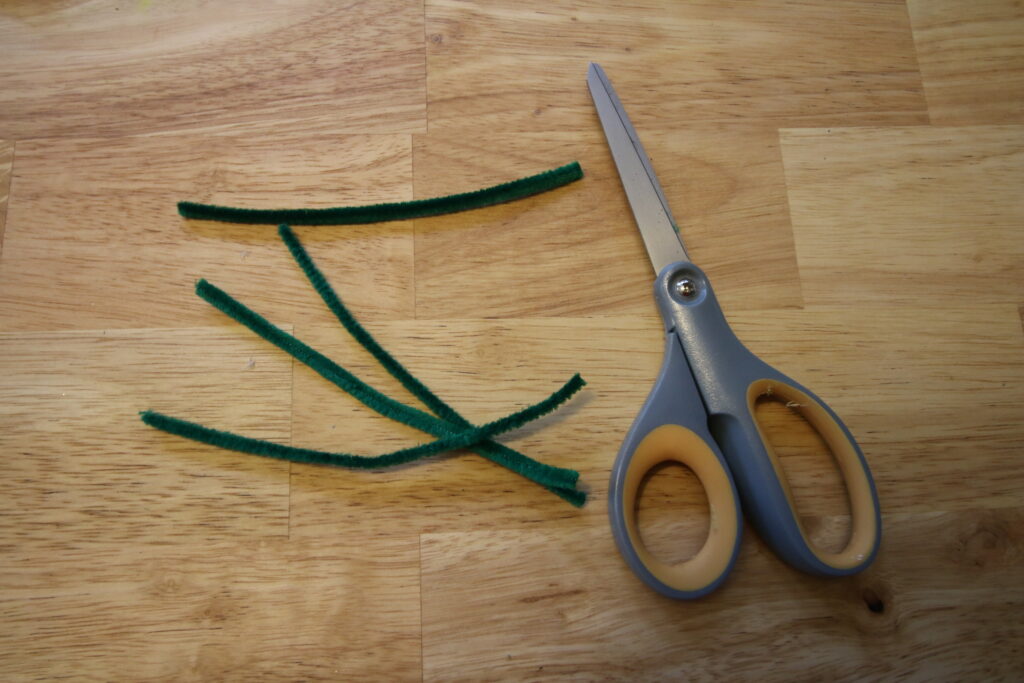 pipe cleaners and scissors