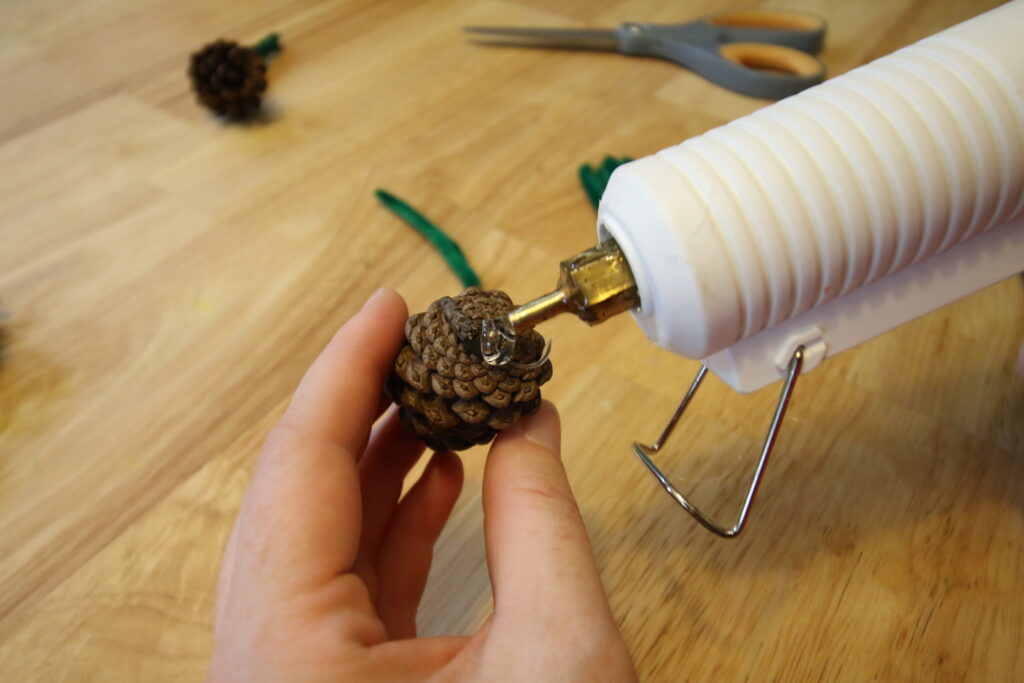 gluing bottom of pine cone