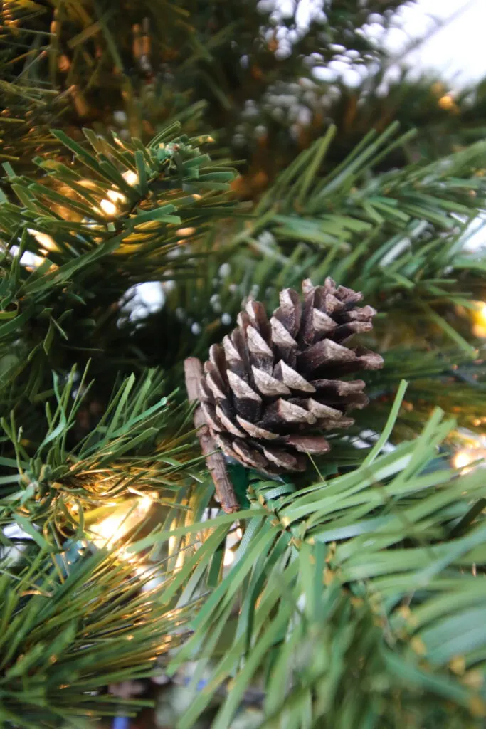 pine cone on a christmas tree