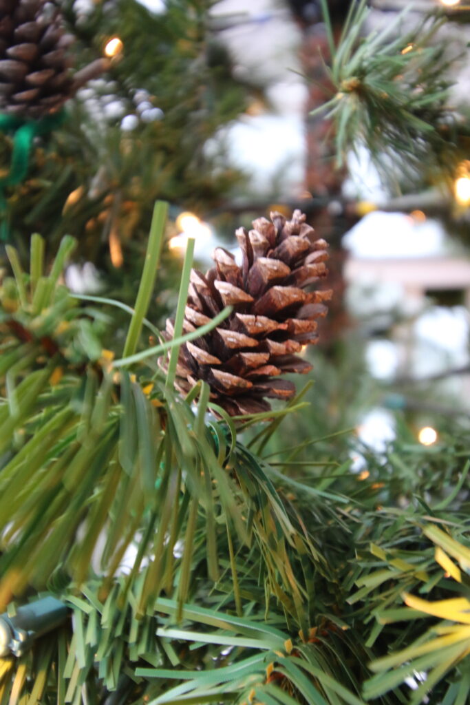 pine cone on a christmas tree