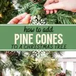 how to add pine cones to a christmas tree