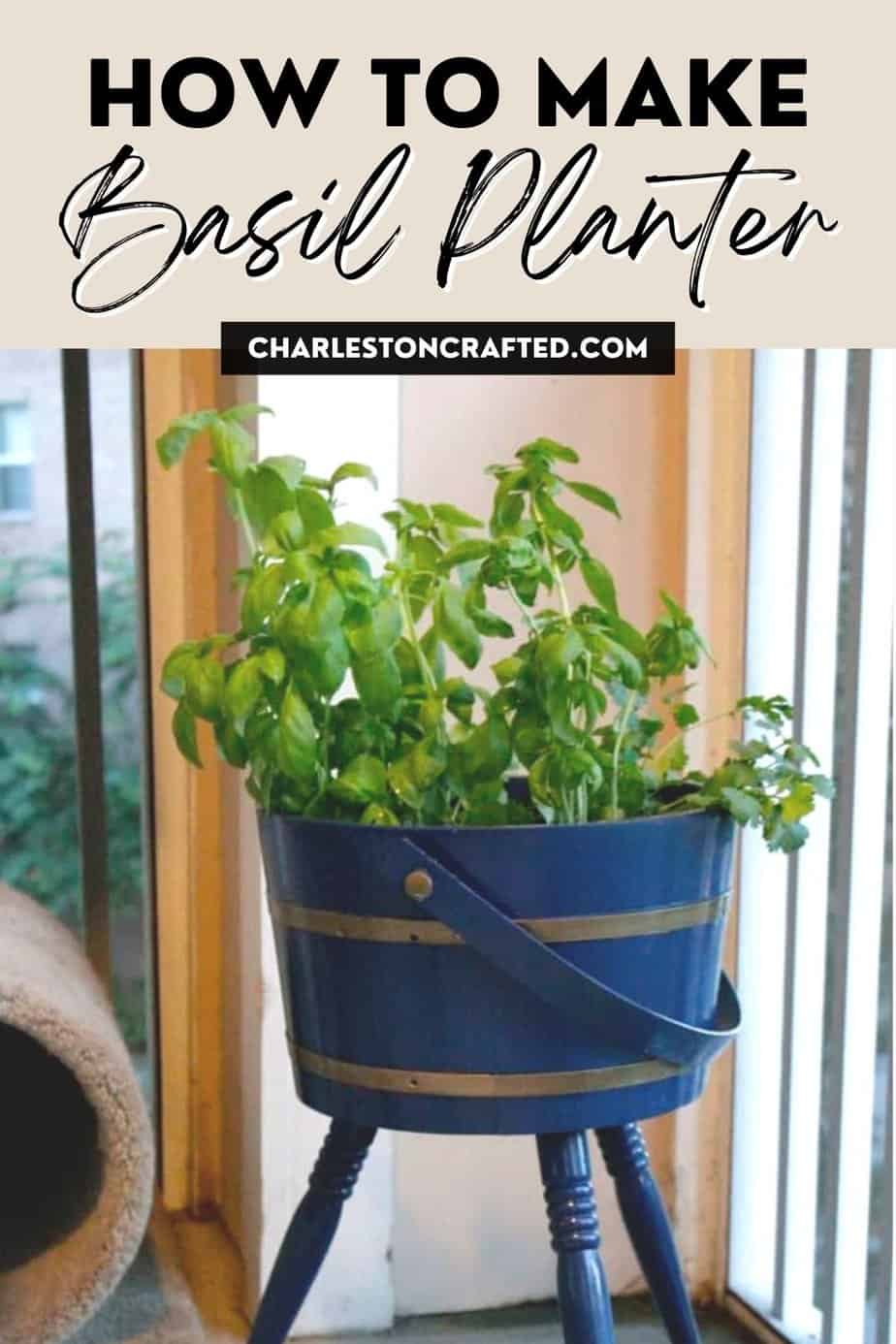 How to make a basil planter