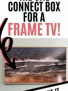How to hide the Frame TV box